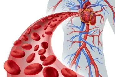 Bệnh chuyển hóa